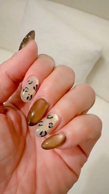 Cat-eye & leopard — from the desk